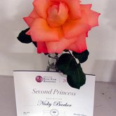 Roses - Greyton Rose Fair - Xplorio™ Greyton / Genadendal