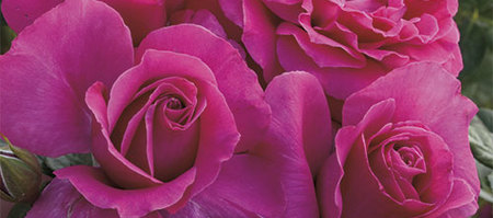 71209940_3073235396081400_4183720178380439552_n_1664348791