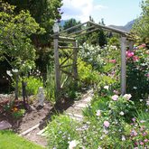 Roses - Greyton Rose Fair - Xplorio™ Greyton / Genadendal