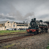 Train - Elgin Railway Market - Xplorio™ Grabouw / Elgin