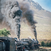 Train - Elgin Railway Market - Xplorio™ Grabouw / Elgin