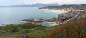 Hiking Trail at Walker Bay