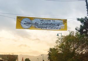 Stanford Culinary Festival: Bee Tours