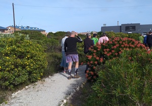 Spring Flower Meander on Heritage Day