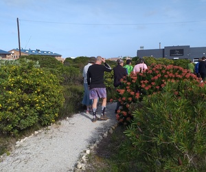 Spring Flower Meander on Heritage Day