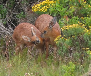 Meet Your Environment