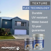 Prominent Premium Textured Paint