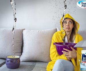 Top Paints: Waterproofing Products