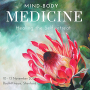 10 - 13 November 2022: Mind Body Medicine: Healing the Self