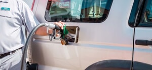 Promotion Extended: WIN a Whale-Watching Boat Trip for 2