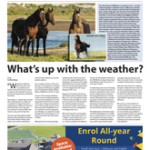 19 August 2022 - The Village News - Xplorio™ Hermanus