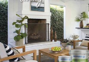 Prominent Premium Satin Silk Paint