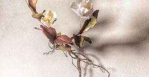 Artist Becky Jones at the Greyton Rose and Garden Fair