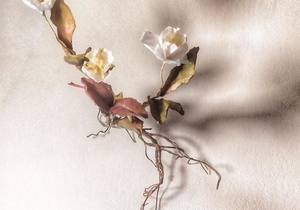 Artist Becky Jones at the Greyton Rose and Garden Fair