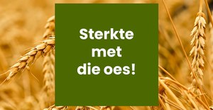 ‘n Boodskap van ons Besturende Direkteur