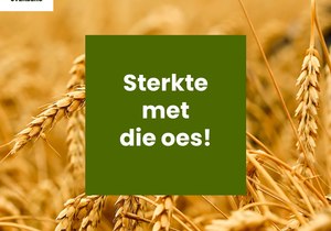 ‘n Boodskap van ons Besturende Direkteur