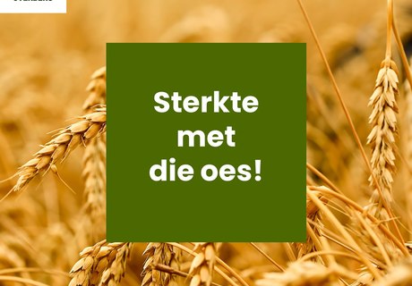 ‘n Boodskap van ons Besturende Direkteur