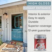 Prominent Premium Gloss Enamel Paint