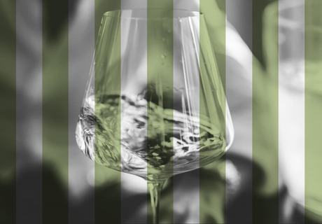 Exclusive Wine Tasting Experiences at Greyton Wine Club