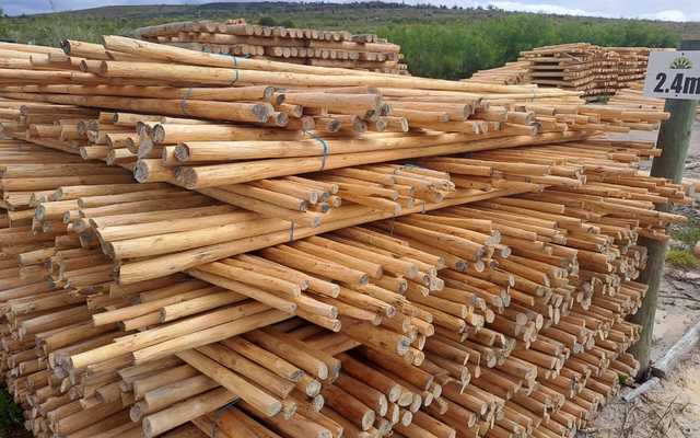 WhatsApp_Image_2022_10_11_at_06.33.52_2_1665481352