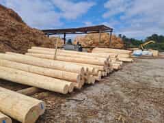 Wooden Products for Building and DIY Home Projects