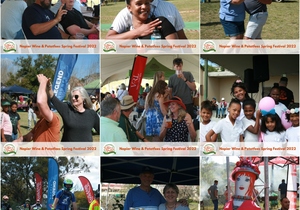Napier Wine and Patatfees Spring Festival