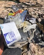 Cleaning our Coastline