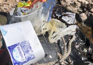 Cleaning our Coastline