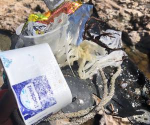 Cleaning our Coastline