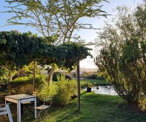 Foxy House: A Nature Lover’s Dream