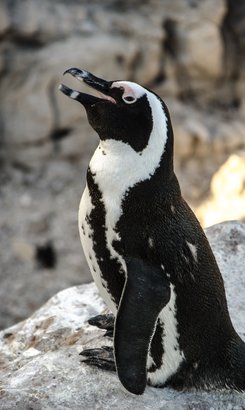 300986643_10158634262460785_3032582660824791595_n_1665670843