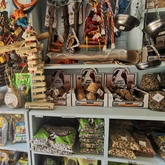 Bird Toys - Keiko Pet Shop - Xplorio™ Kleinmond