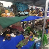 Fish Ornaments - Keiko Pet Shop - Xplorio™ Kleinmond