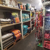 Pet Food - Keiko Pet Shop - Xplorio™ Kleinmond