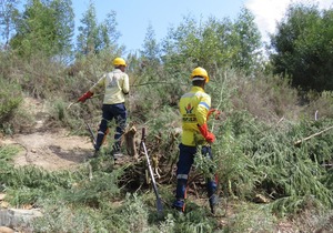 Firebreak Construction in Caledon