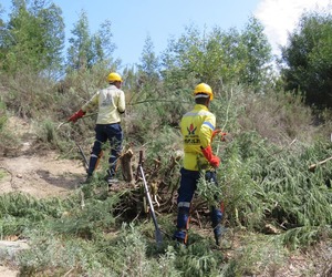 Firebreak Construction in Caledon