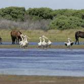 Hangklip - Kleinmond Tourism - Xplorio™ Kleinmond