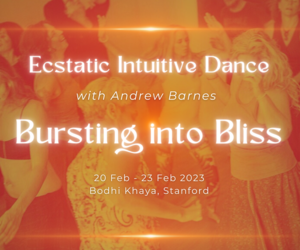 Ecstatic Intuitive Dance: 3-Day Retreat with Andrew Barnes