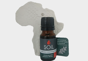 Rosemary Essential Oil (R69)