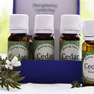 kleinmond_beauty_and_well_being_holistic_healing_libera_sum_intergrated_healing_cedar_anointing_oil_1574778197_1666073102