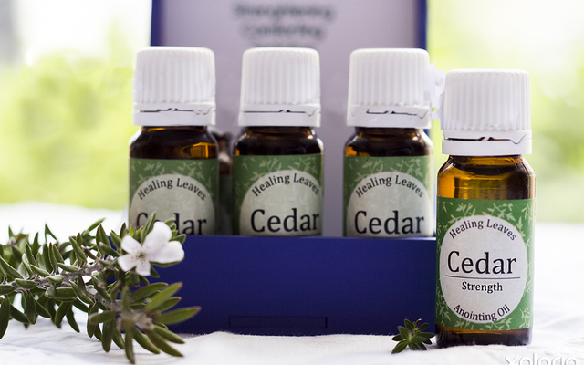 kleinmond_beauty_and_well_being_holistic_healing_libera_sum_intergrated_healing_cedar_anointing_oil_1574778197_1666073102