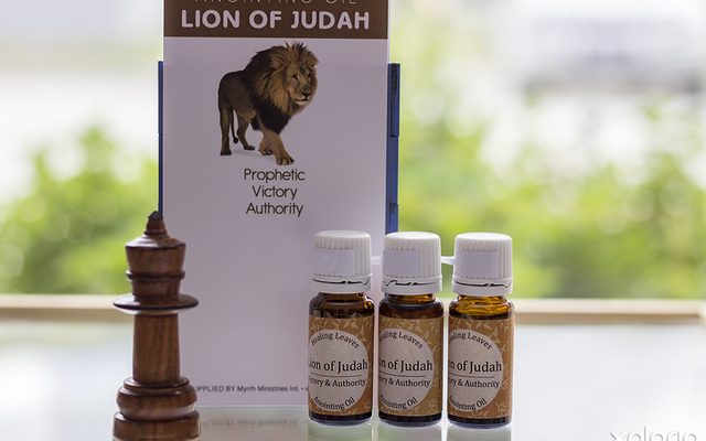 kleinmond_beauty_and_well_being_holistic_healing_libera_sum_intergrated_healing_lion_of_judah_anointing_oil_1574837211_1666073104
