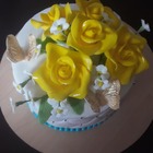 Rose - Dream Creationz - Xplorio™ Riviersonderend