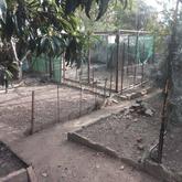 Garden - Manie's Garden Services - Xplorio™ Caledon