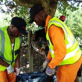 Cleaninig - Manie's Garden Services - Xplorio™ Caledon