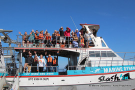 Daily Blog: 17 October 2022 | Shark Cage Diving in South Africa