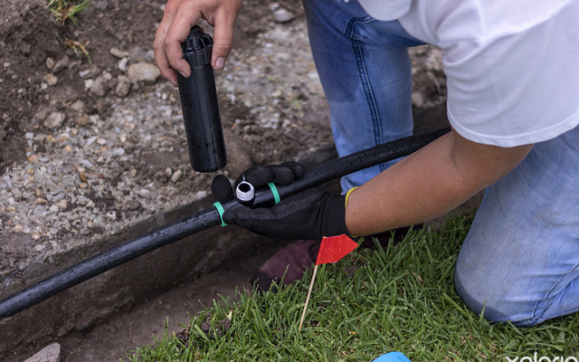 gansbaai_agricultureal_services_eco_flo_irrigation_manual_and_automated_irrigation_1_1635934669_1666173654 gansbaai_agricultureal_services_eco_flo_irrigation_manual_and_automated_irrigation_1_1635934669_1666173654