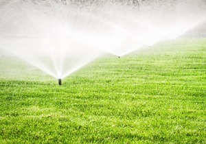 Home Irrigation System