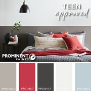 Prominent Paints: Select Matt (Red and Grey Palette)