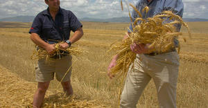 Wêreld Kos Dag 2022!